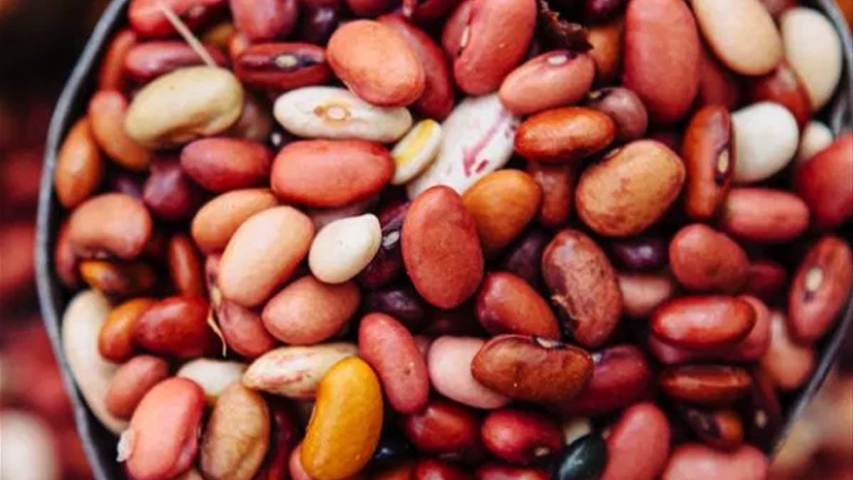 Rajma /Kidney Beans: 5 Incredible Reasons To Add Them To Your Daily Diet